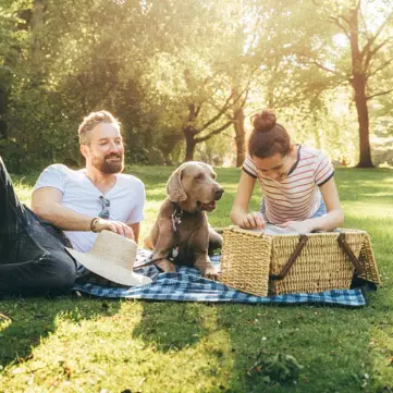 Couple and dog on a picnic